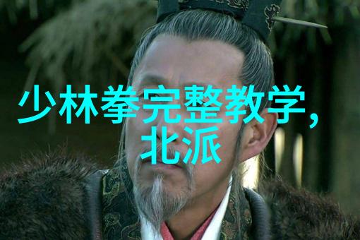修真功法秘籍9000部究竟藏匿着什么神秘力量