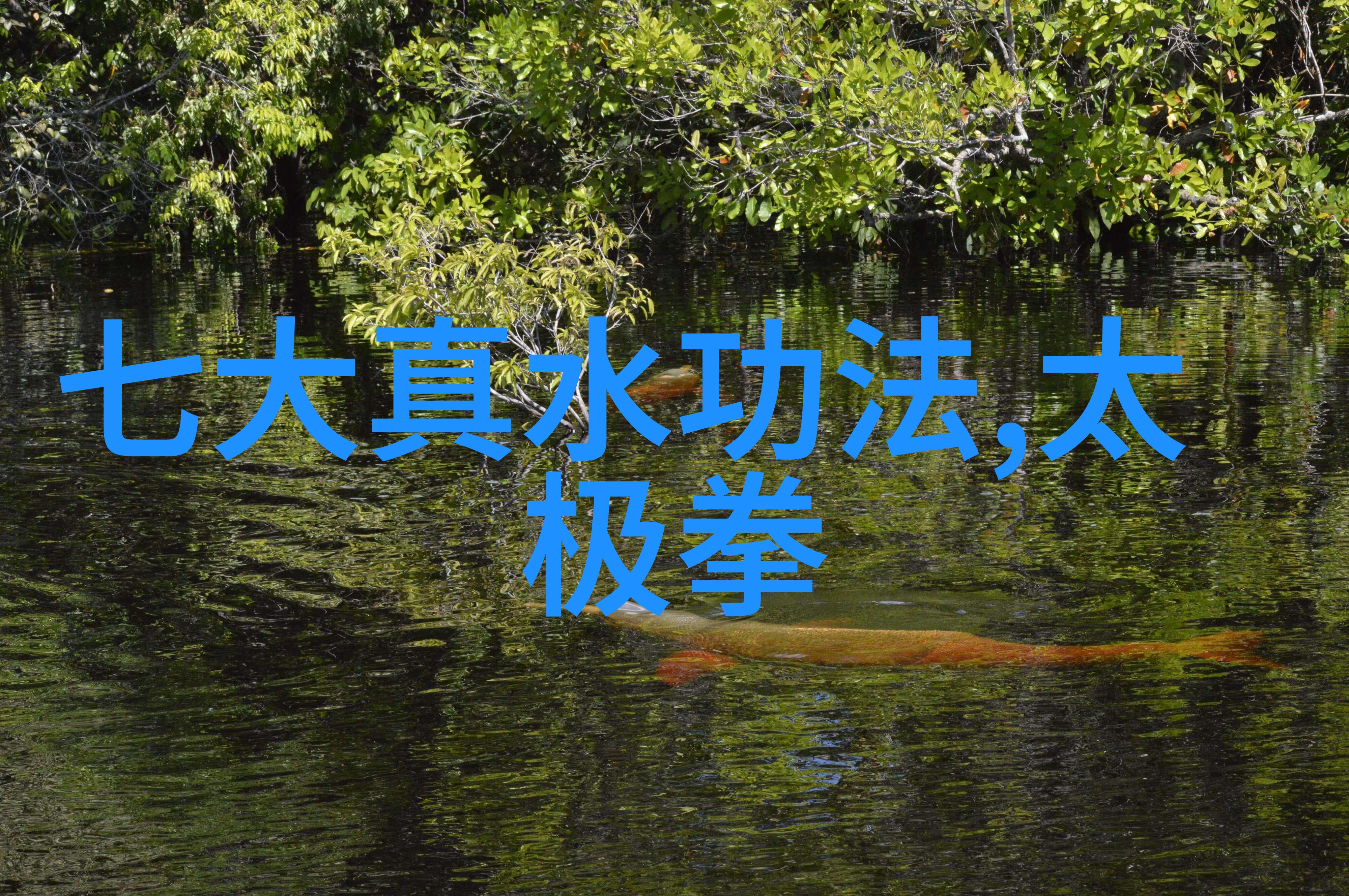 江湖秘密安徽的武林门派探秘