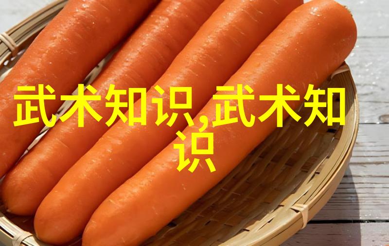 揭秘中国武术十大拳法排名与精髓
