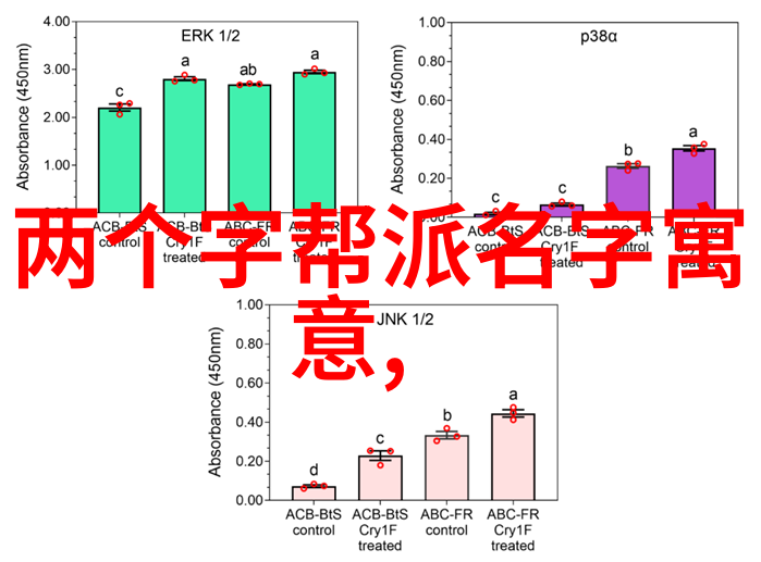 中国传统武术拳法中华古老的精湛技艺