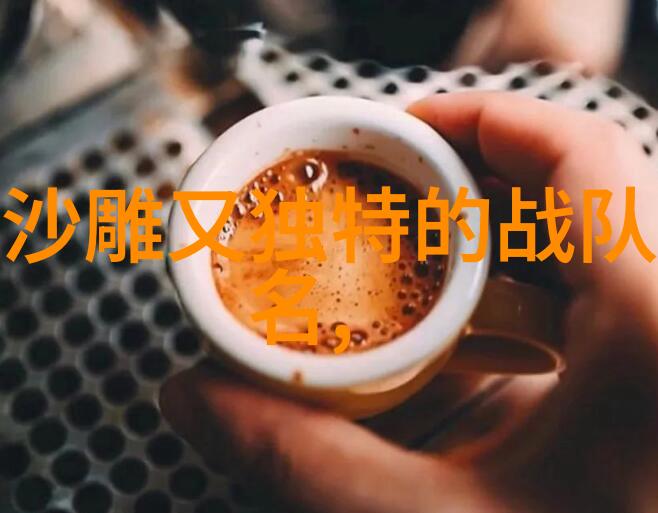 太极24式的双面智慧解读正面与背面的深层奥义