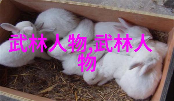 儒雅古风帮派寻回往昔之美的征程
