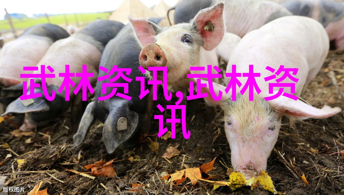 太极24式分解式详解揭秘内外八卦的和谐对立