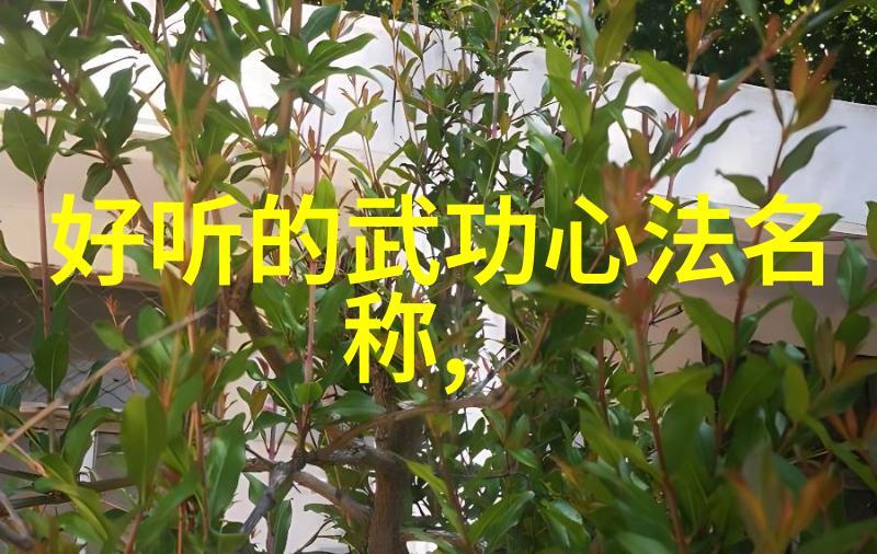 武林秘籍揭秘中国功夫的神奇力量