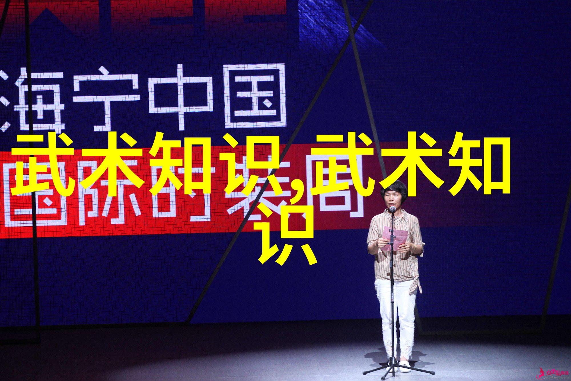 实战性最强的十大武术中华拳法泰国武艺印度古典舞菲律宾阿迪拉德斯中国太极拳日本剑道韩国跆拳道俄罗斯系统