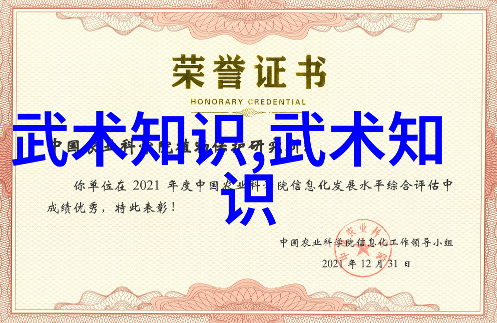逆风破浪顶撞的速度越来越快视频时代的挑战与机遇