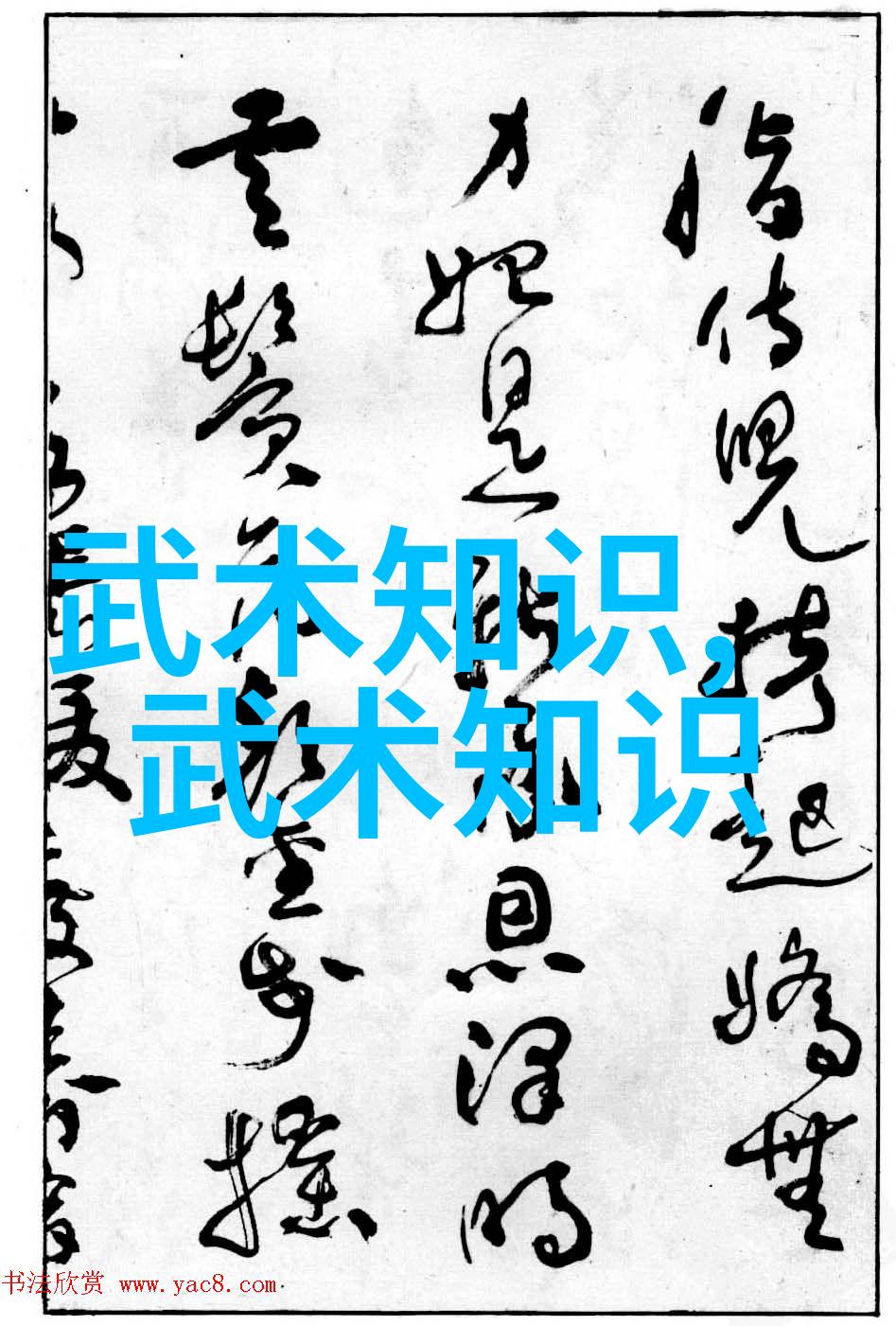 轻功飞翔理论与实践解析身体力行的奥秘