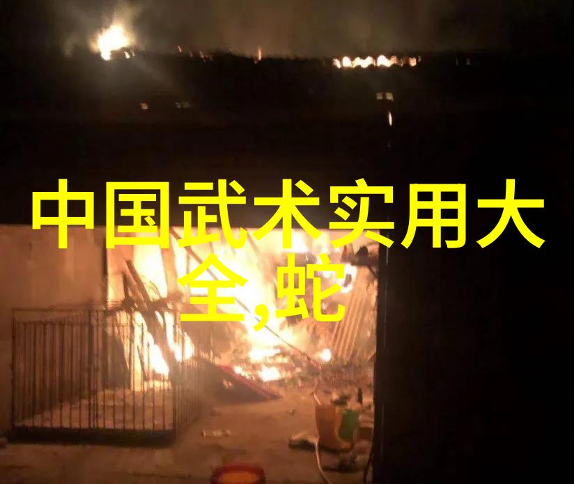 反复练习24式太极拳口令全身心接地气静心放松身形健康