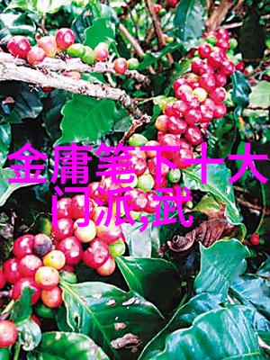 内力与招式剖析天下第一的武学体系