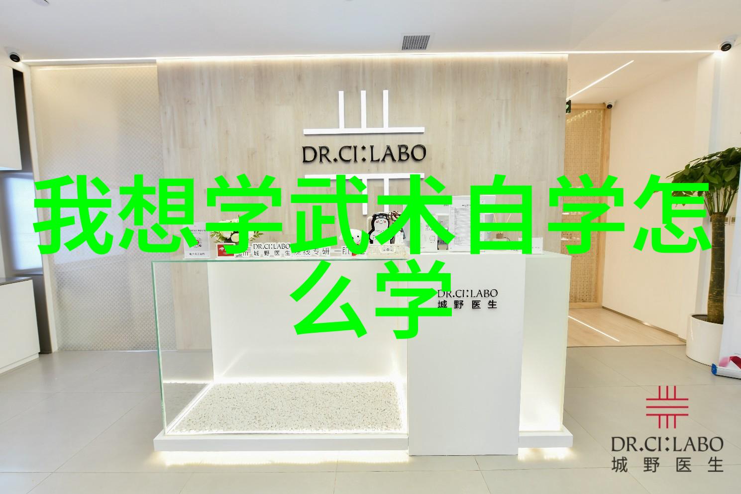 武林高手横练功夫排名揭晓谁是最强的练家