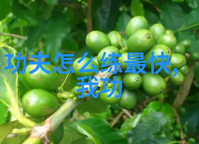 中国功夫实战力排行太极稳居前列