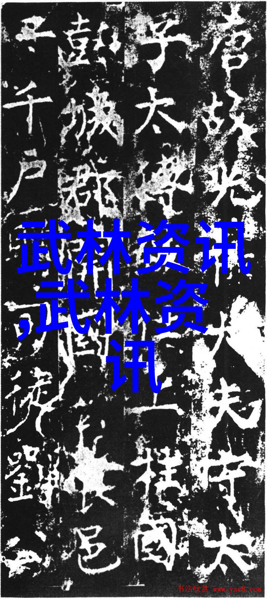 中国武术十大拳法排名海下弹腿重铸江湖风采
