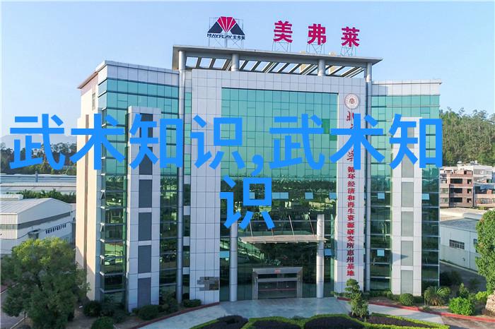 武术自学之道探索太极拳内在精髓
