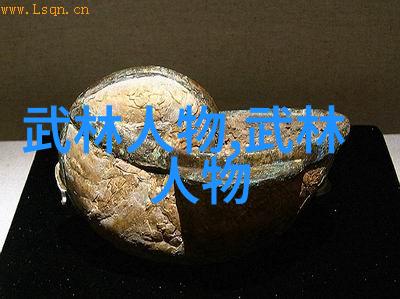 绝世神功武林十大门派的秘密修炼