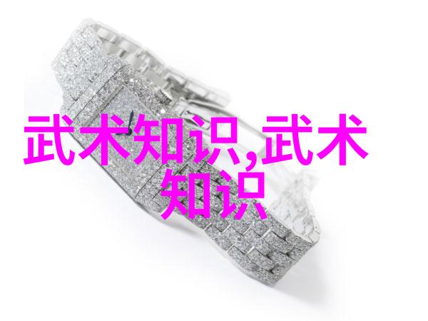 武学文化探索寻找中国传统文化在其十大最强武术中的体现