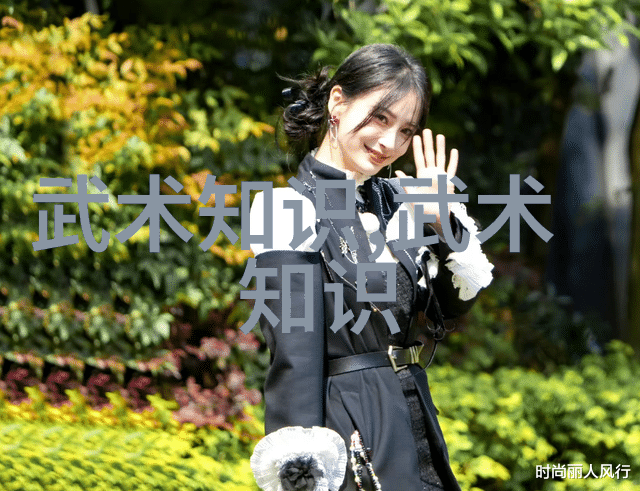 李雅轩太极拳论汇编邱慧芳24式太极拳全套教学练习如同书卷中寻宝每个动作都是智慧的结晶