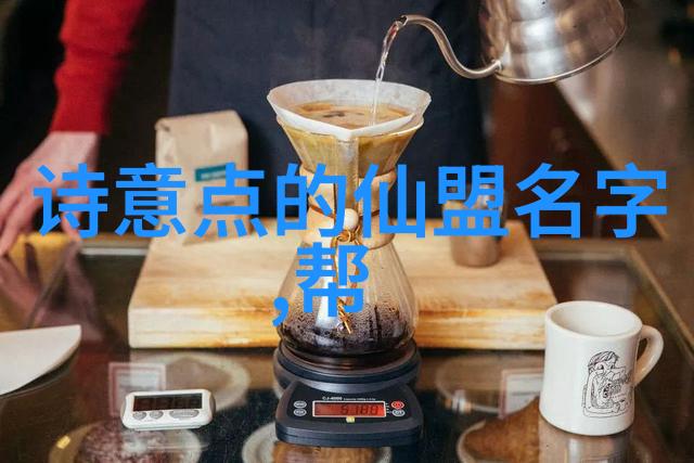 纳西姆-哈麦德资料泰拳精英的精神与技巧