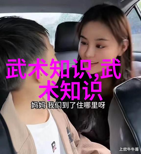 从零到英雄一分鐘練就無敵的真氣防御系統