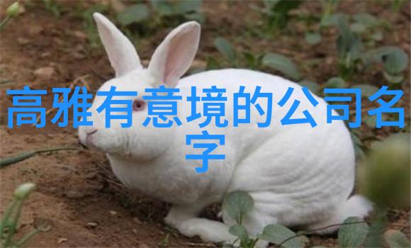 江湖沉默的第一招