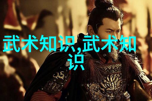 武学秘籍悟道于口诀