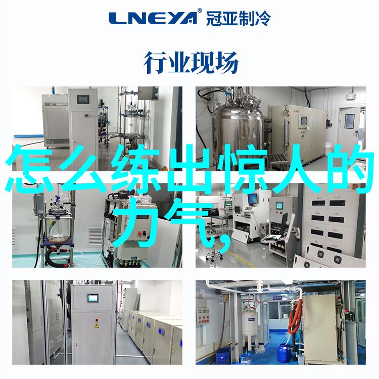 少林最厉害的拳法-神功奇迹揭秘少林寺内传承千年的绝学