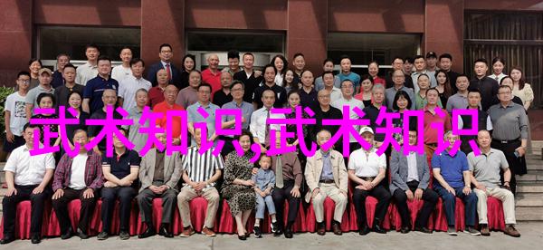 哪些关键要素构成了李小龙功夫教学视频中的成功之道