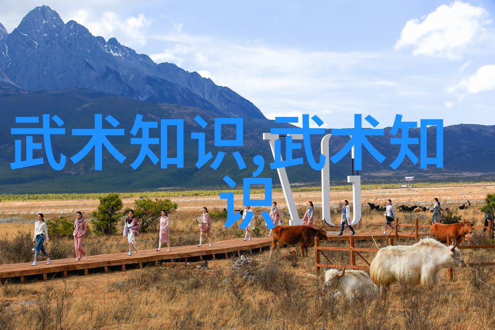 中国武术十大门派我来告诉你这些古老名门的故事