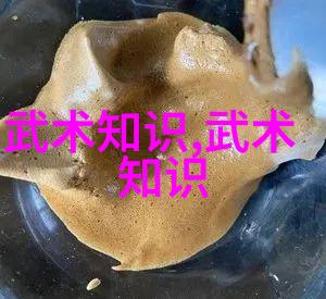 解密24式太极拳口令历史文化背景探究
