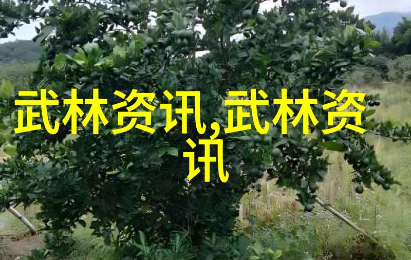 俄罗斯武术联合会来京欣赏吴氏太极拳