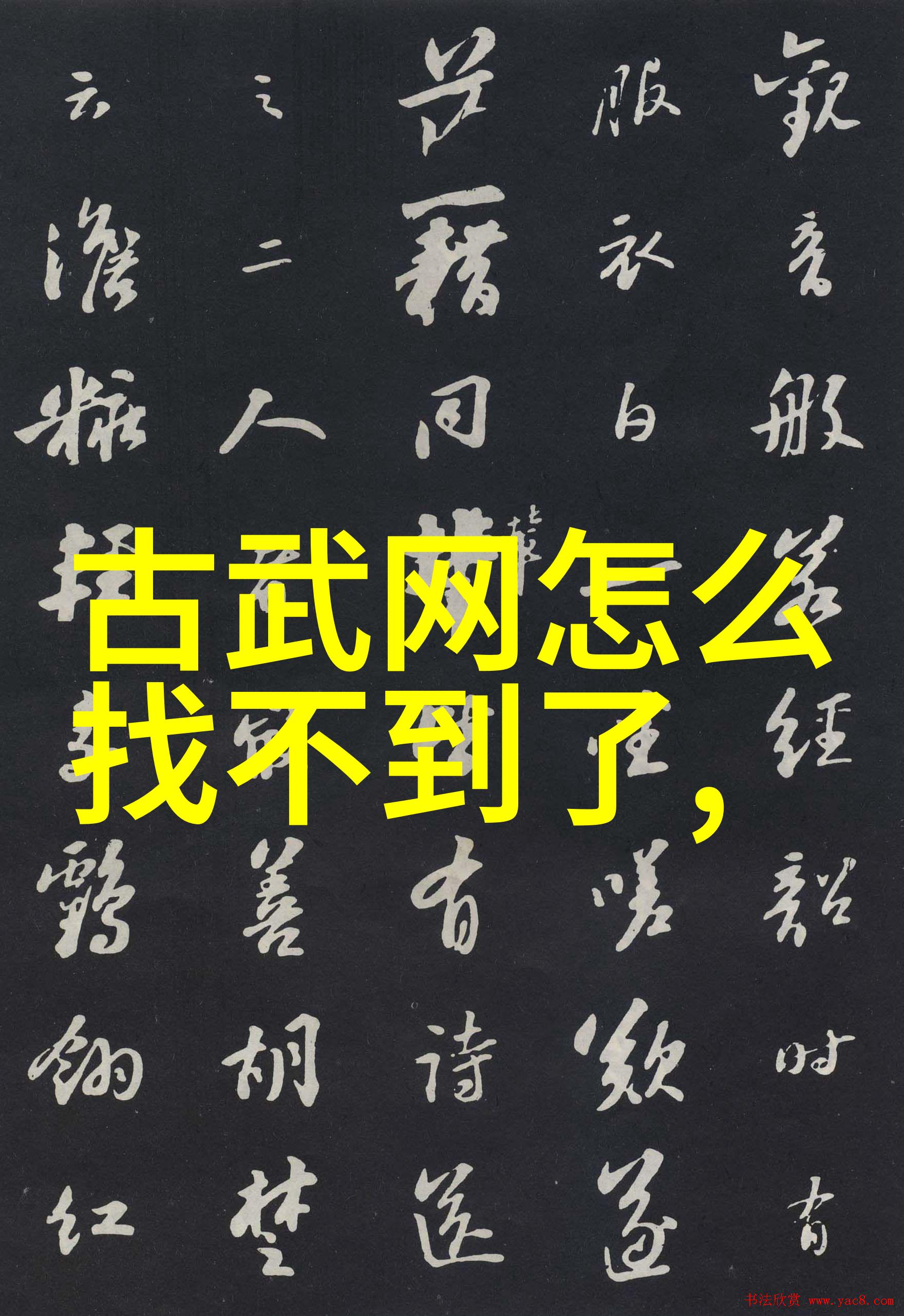 揭秘太极拳24式分解动作教学全解析