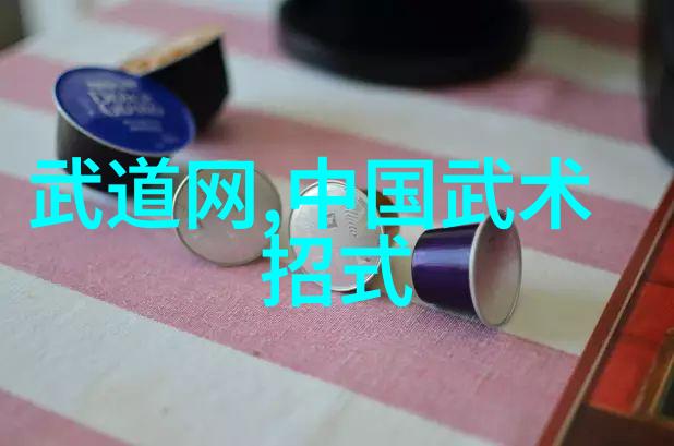 中国十大最强武术剖析传统与实战之争