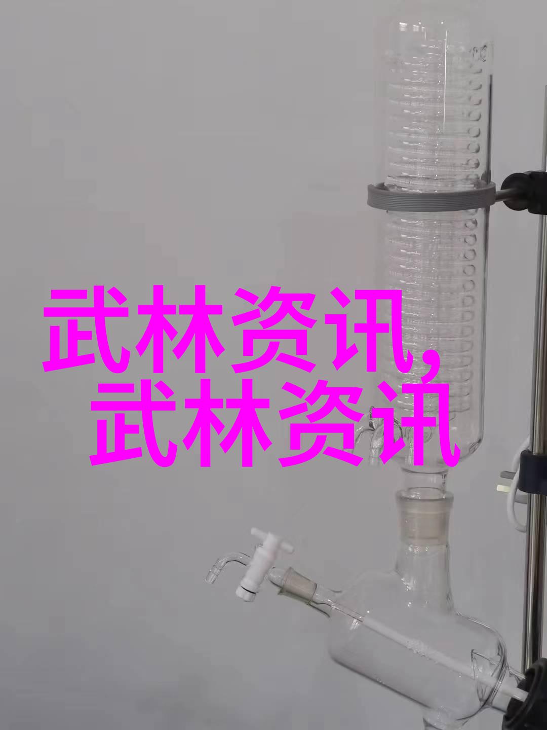 武术门派的丰富多彩揭秘中国武林中的精英集结地