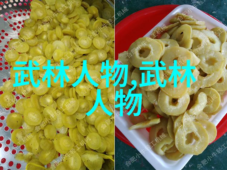太极拳24式图解全解揭秘古老武学中的内外柔韧