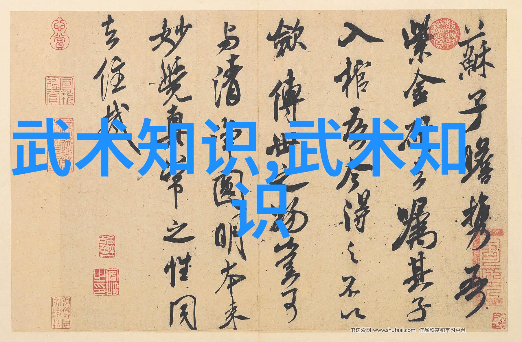 横练功夫世界大赛横练功夫的精彩比赛