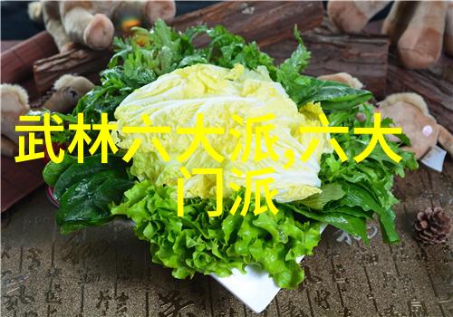 武术知识深度探究中华武术史内功外法武林秘籍