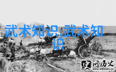 古朴与现代的对话二十四式简化太极拳图解