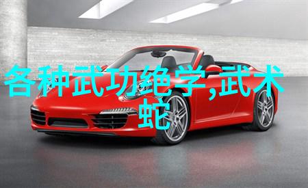 古武秘籍解锁揭秘江湖中最神秘的武功法门