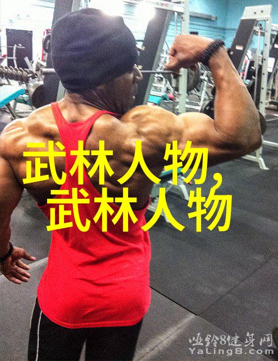 武林秘籍大全寻踪失传的内功心法