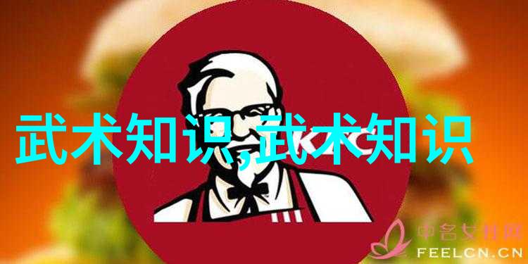 体验武术魅力拳法十六招式图解的动作演练
