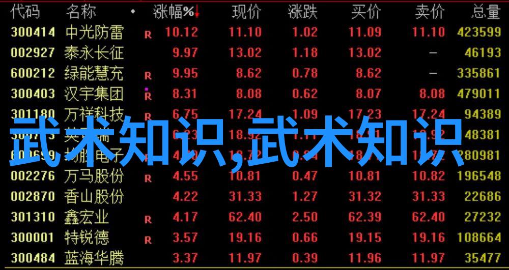历史上未曾出现过但在小说里却非常出名的武功名称有哪些如乾坤大挪移它们分别代表了什么样的能力或修为层次