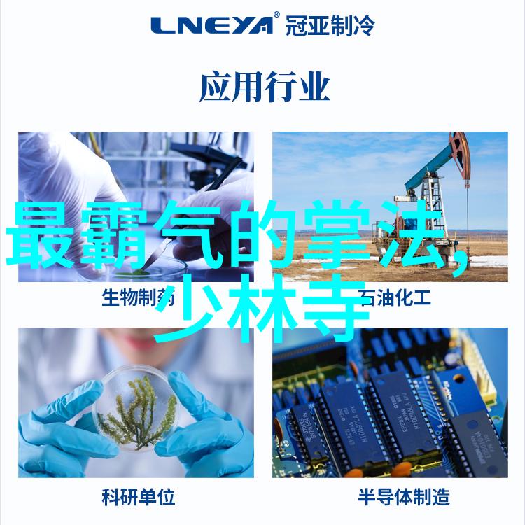太极文化-揭秘十三式太极拳分解动作掌握内在力量的艺术