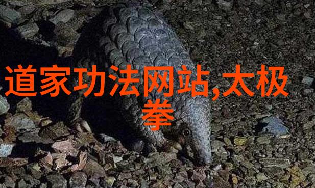 丹尼斯-莱贝德夫女子拳击比赛在自然之光下展开