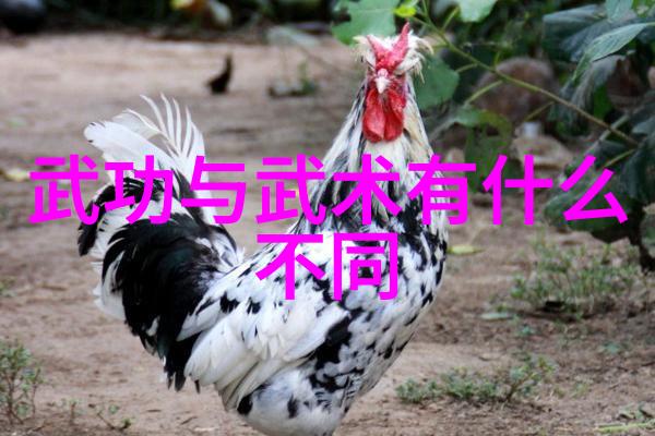 上海医疗器械高等专科学校培育未来医疗技术人才的摇篮