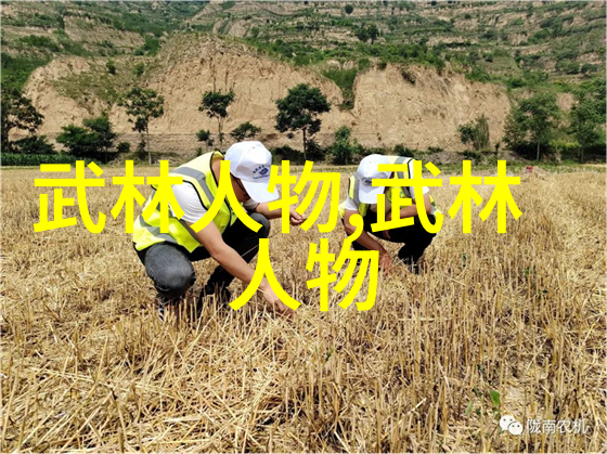 掌握古典韵味48式太极拳全套视频带口令教程
