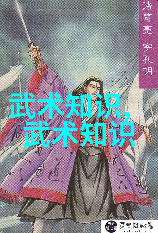 武术技巧的演进与应用