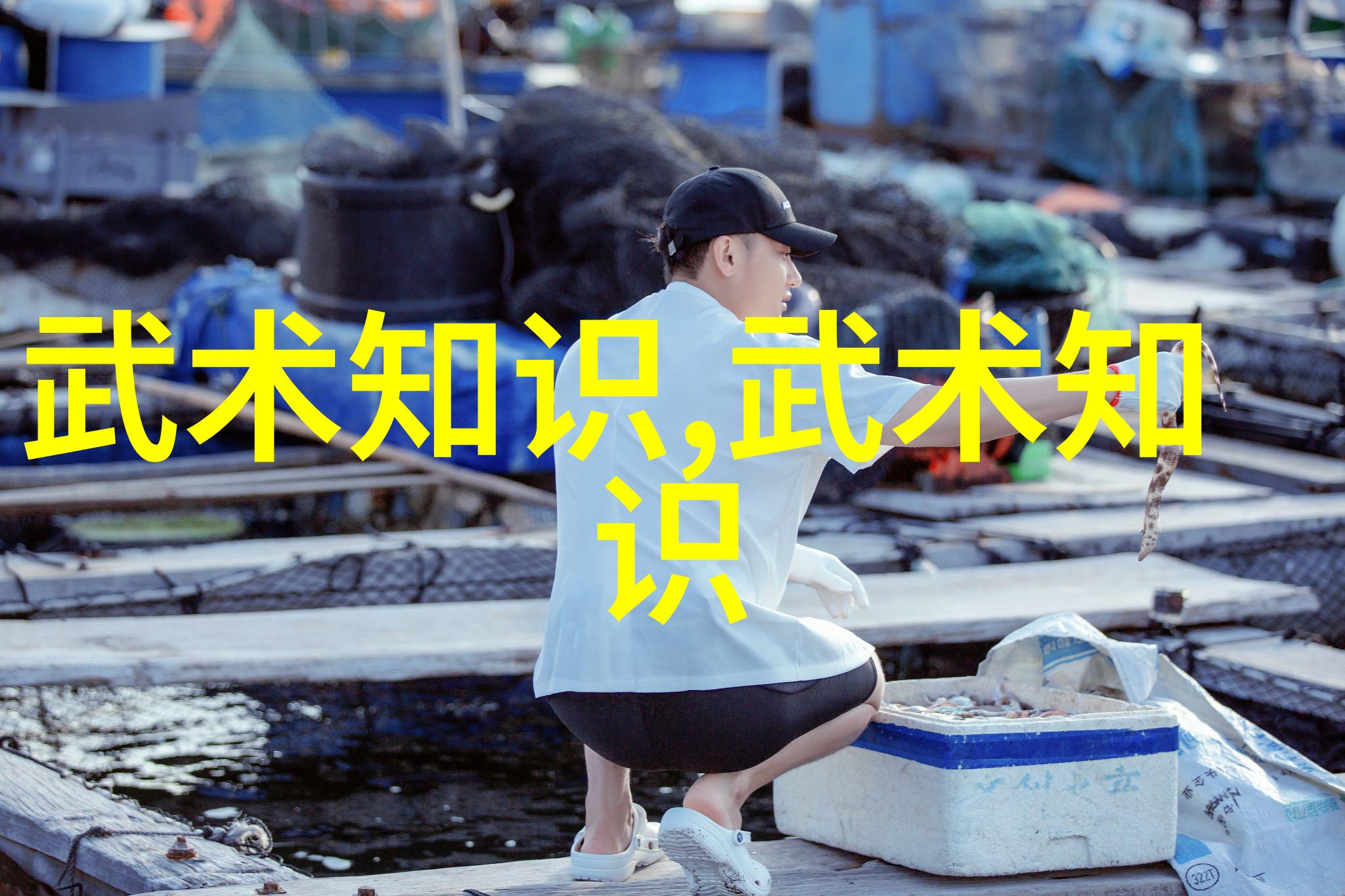 暴风战舰官网我在这片充满激情的海域中找到了属于自己的家