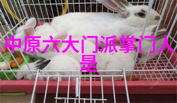 北京鸣生亮武学研究会报告自学武术之道 - 志伟曹春华李学信