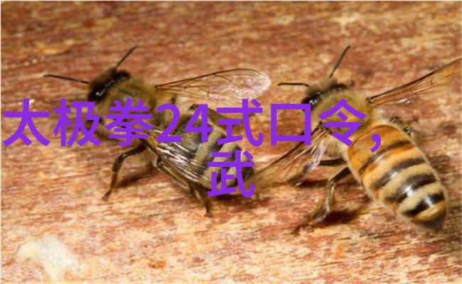 少林寺内家外派各自代表了什么样的武学理念和实践方法