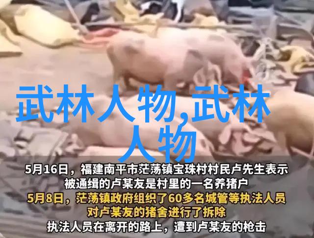 霸气武林帮派大全何氏弹腿在自然之中绽放