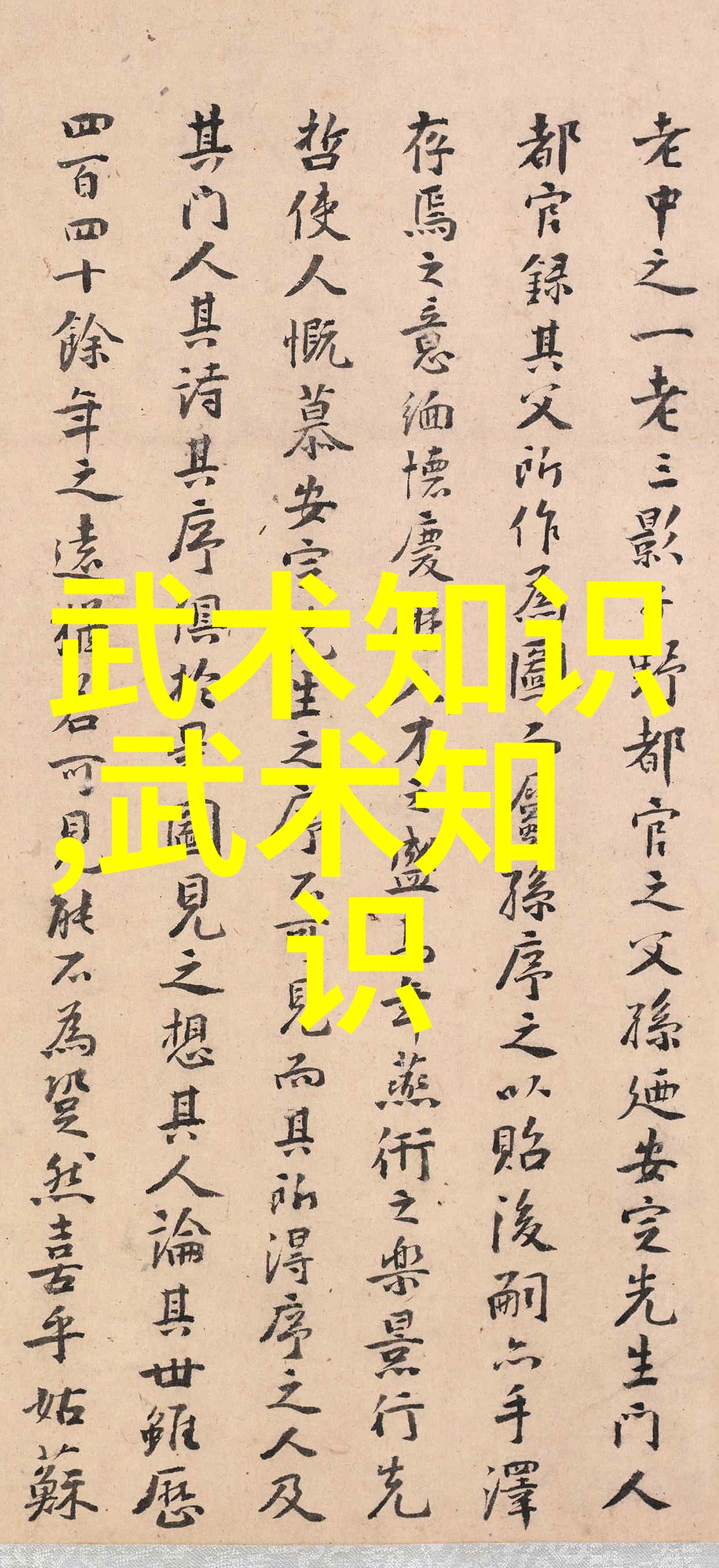 南拳与华拳哪家强揭秘两大武术流派的对决